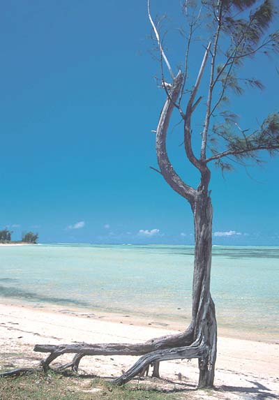Plage de Grand Baie