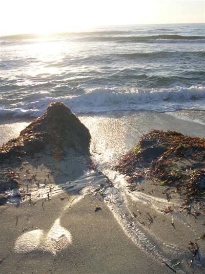 Capo di Fenu