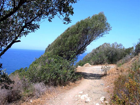 Cap Di Fenu, r�gion d'Ajaccio