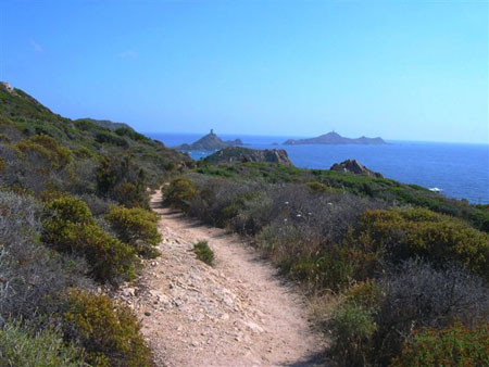 Cap Di Fenu, r�gion d'Ajaccio