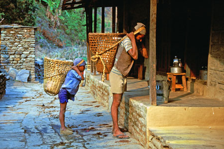 Sherpas
