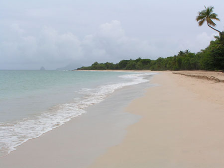 Les Salines