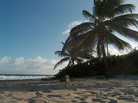 Paradis sur terre