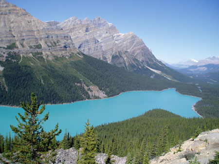 Peyto lake