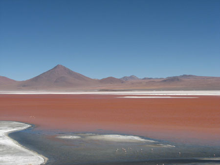 Laguna Colorada