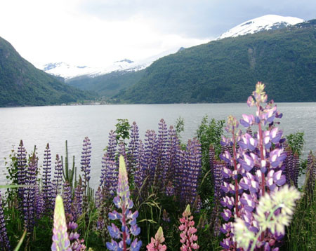 Voyage en Norv�ge