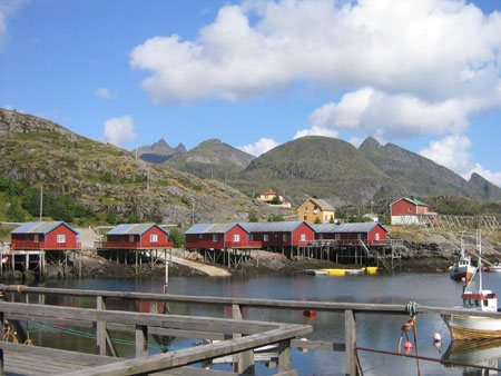 Rorburen aux Lofoten
