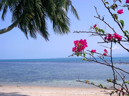 Vue sur mer