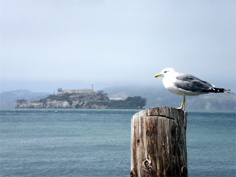 Gardien d'Alcatraz