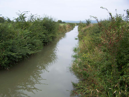 Marais de la Dives