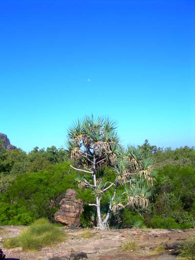 A c�t� d'Ubir, Kakadu National Park