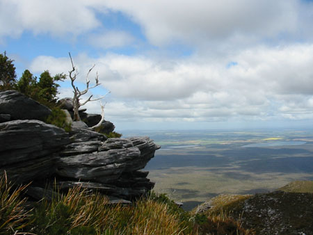 Bluff knoll