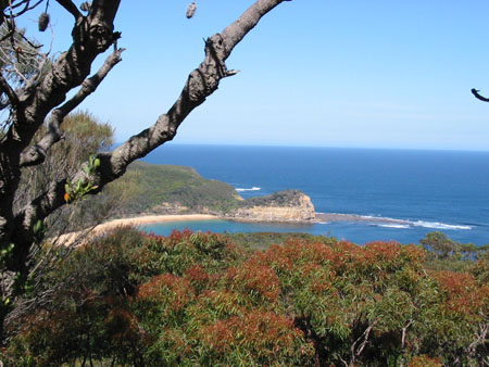 Sydney North coast
