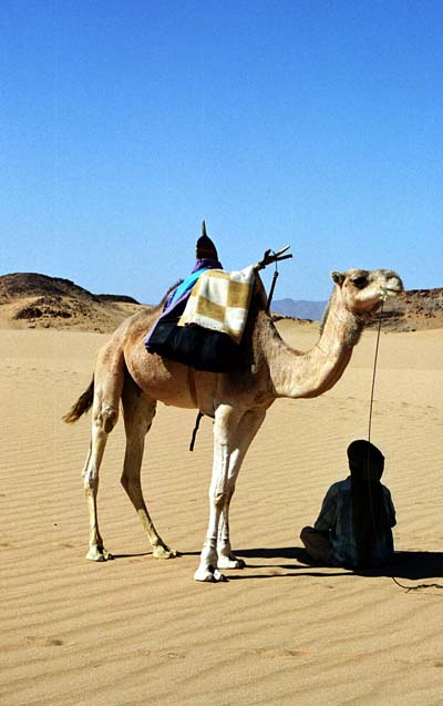 Entre Tamanrasset et Djanet