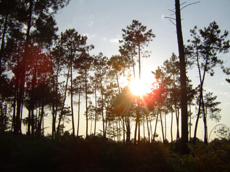 Coucher de soleil dans le M�doc