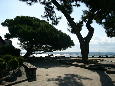 Cap Ferret