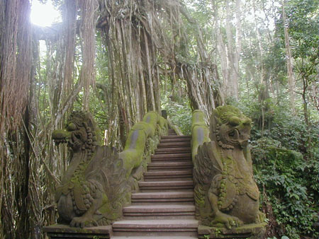 Monkey Forest