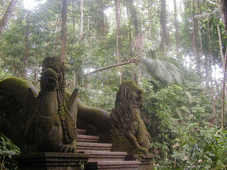 Monkey forest, la paix int�rieure