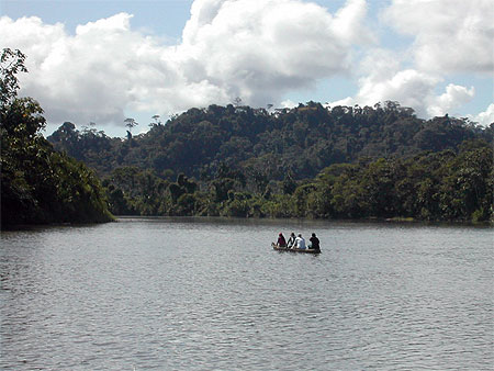 Sur le Rio Napo pr�s de Campo Cocha