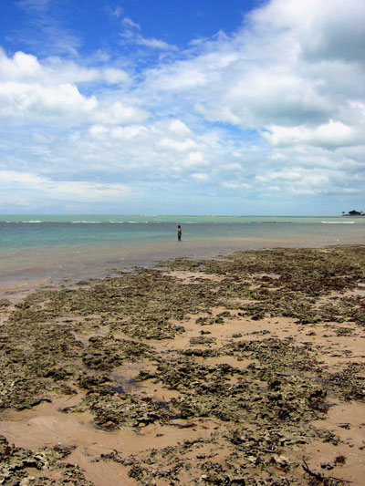 The little boy and the sea