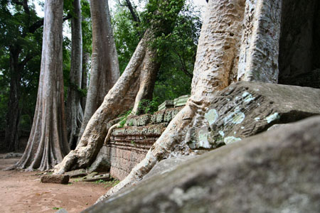 Ta Phrom