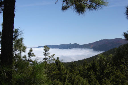 Brumes sur la vall�e