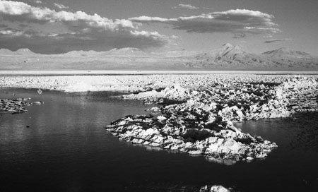 Salar de Atacama