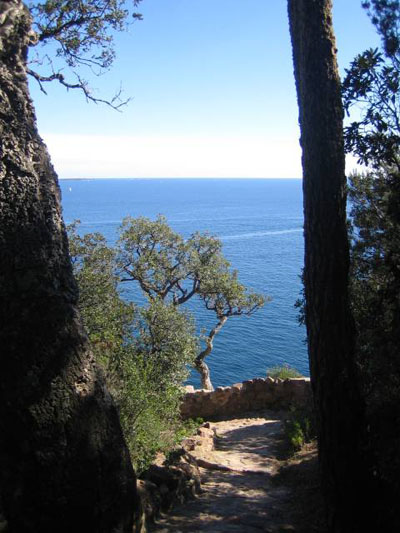 Chemin entre les arbres