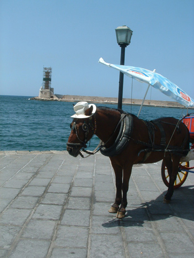 Sous le soleil de la Can�e