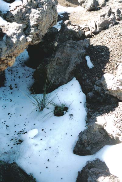 Neige au volcan