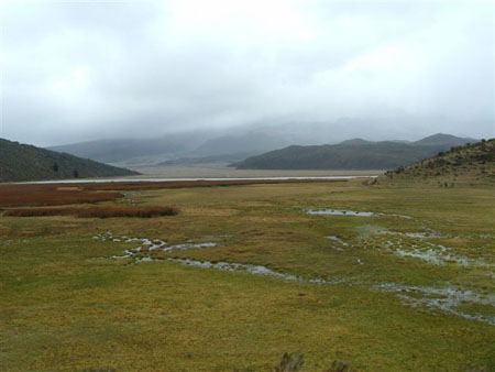 Dans le parc du Cotopaxi