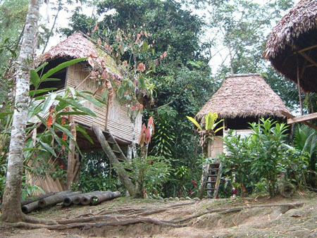 Cases dans l'Amazonie �quatorienne