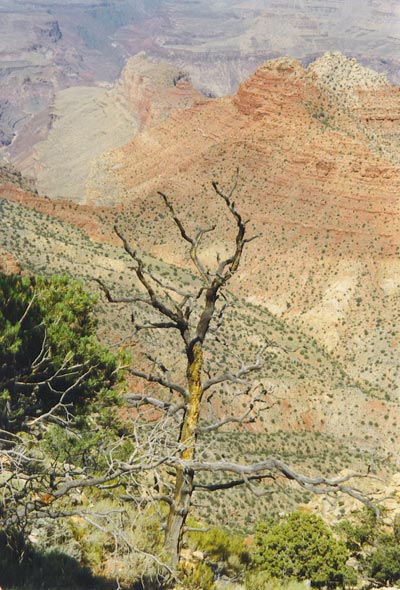 C�zanne non !!! Le Grand Canyon