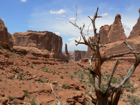 Arches