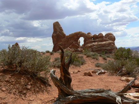Arches