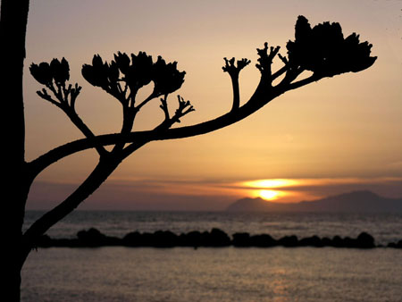 Un soir � Nissyros