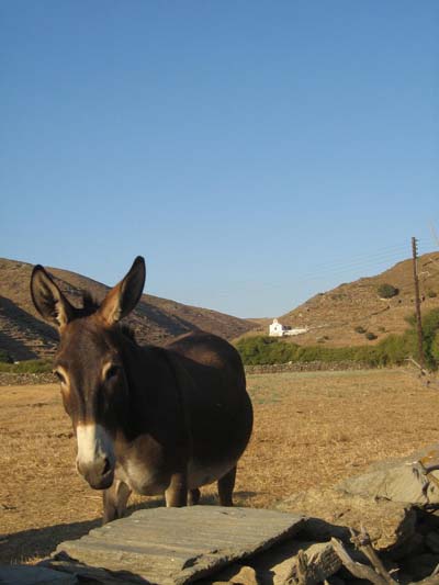 Kythnos, terre aride