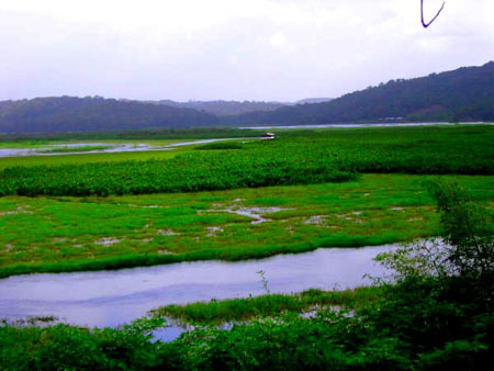 Marais de Kaw