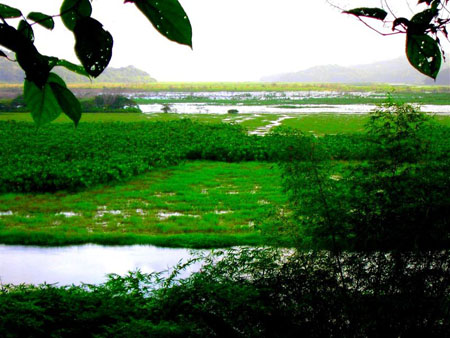 Marais de Kaw