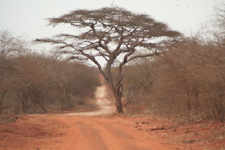 Entr�e parc Tsavo
