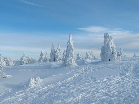 Journ�e glaciale dans les Vosges