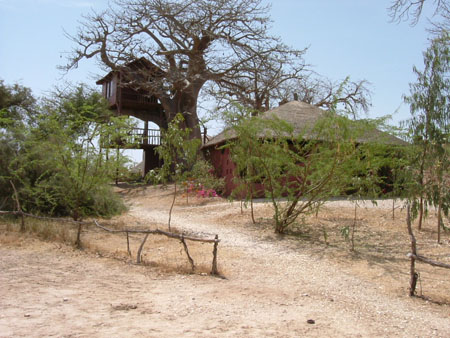 Cabane perch�e dans un baobab