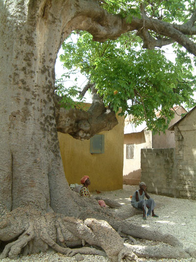 Arbre � palabres