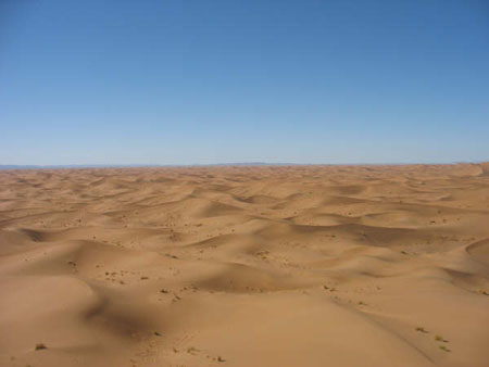 Sahara