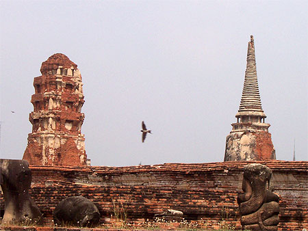 Ayuthaya temple