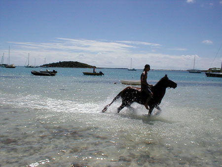 Balade � cheval