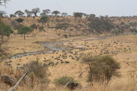 Crat�re Ngorongoro