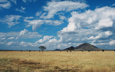 Savane