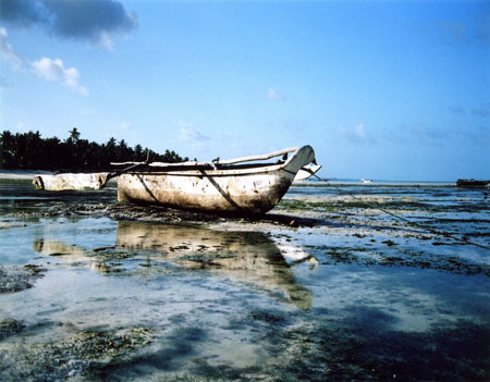 Mar�e basse