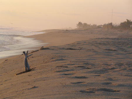 Fin d'apr�s-midi � Playa Ventura